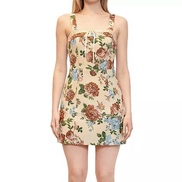 🆕 NWT Dylan Ryan NYC Tapestry Print Lace-Up Coquette Mini Dress Size XL Juniors - Picture 1 of 12